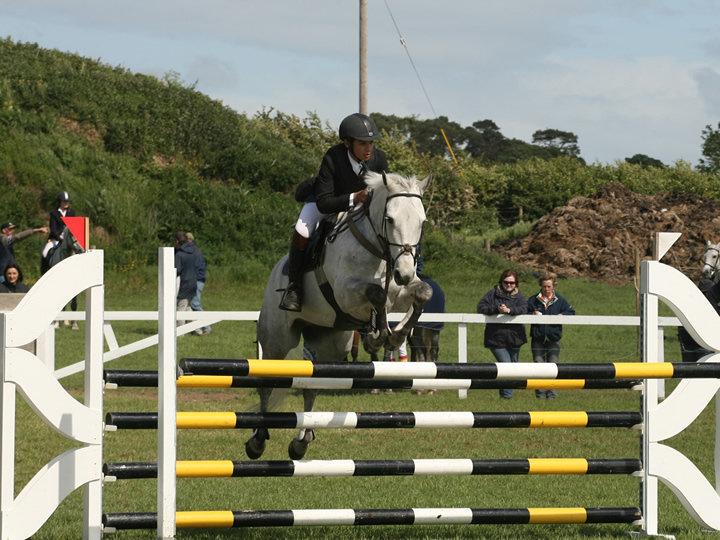 RDS 148 5&6 year old Qualifier 2007 Irish Connemara Pony