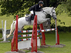 Hickstead Foxhunter 2007 Irish Connemara Pony