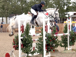 Hickstead Mini Grand Prix 2007 Irish Connemara Pony