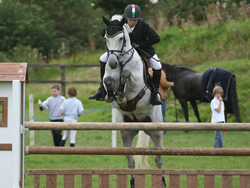 SCD 148ABC Whos Aero Irish Connemara Pony
