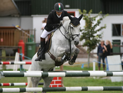 SCD 148ABC Whos Aero Irish Connemara Pony