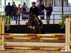 Ostara's Umberto National Pony Discovery Millstreet 2008