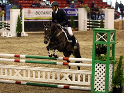 Ostara's Umberto National Pony Discovery Millstreet 2008