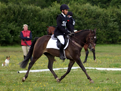 Ostara's Umberto Doing His Dressage!