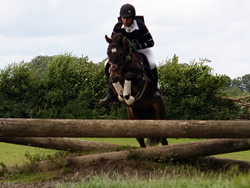 Ostara's Umberto On The Cross Country Course
