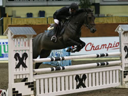 Cavan HPI Whos Little Lux Irish Pony