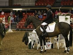 Millstreet National Pony Discovery Winner 2007