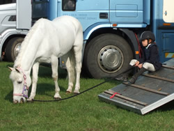 Whos Dobbie with Jodie relaxing during Co Louth 2007