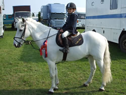 Whos Dobbie Irish Pony Glencarrig Qualifier Co Louth 2007