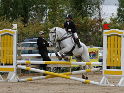 Whos Dobbie Irish Pony Glencarrig Final 2007