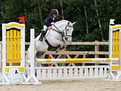 Whos Dobbie Irish Pony Glencarrig Final 2007