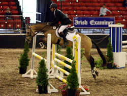 Whos DJ National Pony Discovery Millstreet 2008