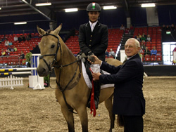 Whos DJ Winning National Pony Discovery in Millstreet 2008