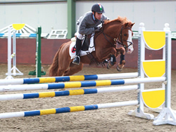 Interschools Ballinamona Whos Smart: Irish Pony