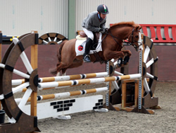 Interschools Ballinamona Whos Smart: Irish Pony