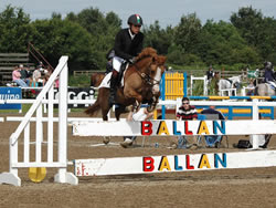 HPIWales:Whos Smart:Irish Pony