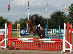 HPIWales:Whos Smart:Irish Pony